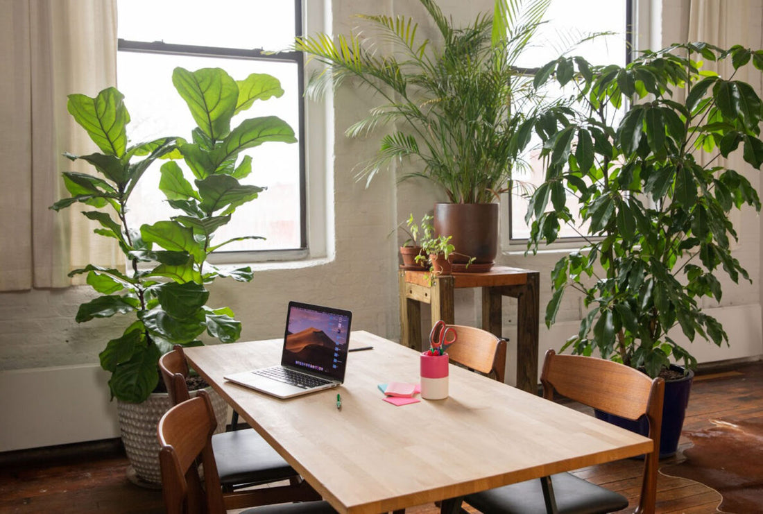 Simple Habits for Creating a Purified Home