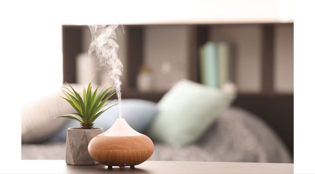 A Toxin-Free Environment For Your Home